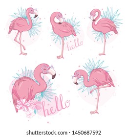 Pink flamingo, bird icons set isolated on white background.