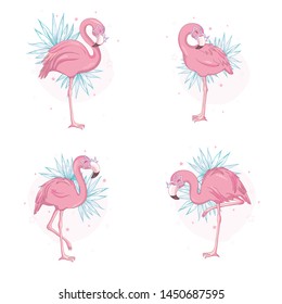 Pink flamingo, bird icons set isolated on white background.