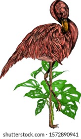 pink Flamingo bird with palm tree