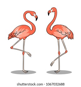 Pink flamingo bird pop art retro vector illustration. Isolated image on white background. Comic book style imitation.