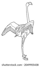 Pink flamingo. Bird spreading its wings. Coloring page. Black outline. 