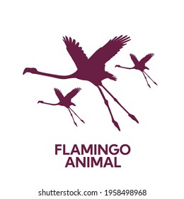 pink Flamingo bird tropical animal flat design style vector illustration