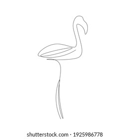 Pink flamingo bird vector illustration