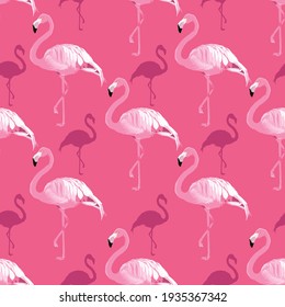 Patrón transparente del vector de aves flamingo rosado. Bonito fondo rosa. Diseño de patrones de superficie.