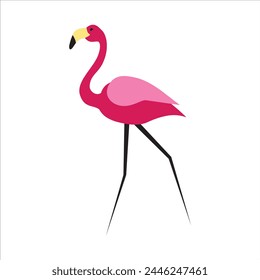 Pink flamingo bird walking and pose, original silhouette logo design. Exotic tropical bird vector illustration. Colorful tropical zoo character flat graphic design. Lovely feather animal symbol art.