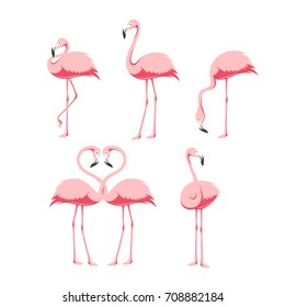 Pink flamingo birds set. Design elements for fabric and decor. Vector vintage illustration.