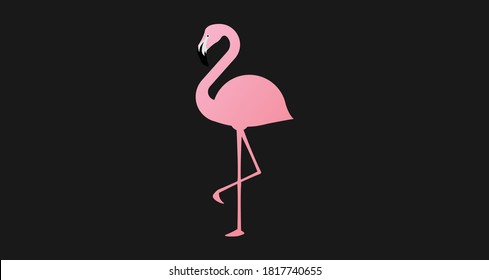 Pink flamingo black background Vector flamingo bird Flamingo standing on one leg
