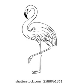 Pink flamingo cartoon, vector illustration, flamingo icon isolated on white background. Line art.