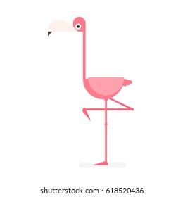 Pink flamingo cartoon vector illustration isolated on white background.