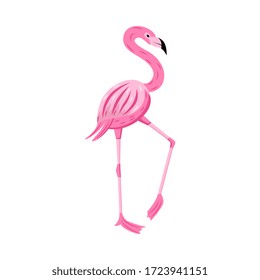 Pink flamingo character flat cartoon vector illustration isolated on white background. Exotic beautiful african bird icon for summer prints and decoration.