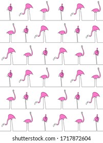 Pink flamingo continuous line seamless pattern. Line art exotic bird symbol on white background textile print. Vintage decor ornament. Vector illustration