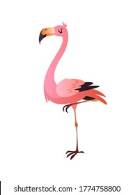 Pink flamingo. Cute colorful beautiful jungle or zoo cartoon bird, wildlife trendy exotic print. Vector single isolated illustration