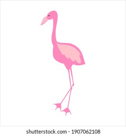 Pink flamingo doodle vector. Hand drawn stock illustration. Isolated on white background. Cartoon children's theme