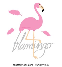 Pink Flamingo exotic animal vector