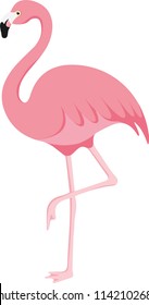 Pink Flamingo Exotic Bird Summer Vector Illustration
