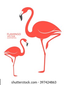 Pink flamingo. Exotic birds. Isolated flamingo on white background. Vector illustration 