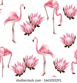 Pink flamingo and exotic protea flowers. Floral seamless pattern. Tropical illustration. Exotic plants, birds. Summer beach design. Paradise nature.