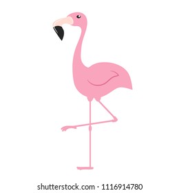 Pink flamingo. Exotic tropical bird. Zoo animal collection. Cute cartoon character. Decoration element. Flat design.