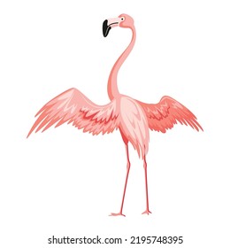 Pink flamingo. Exotic tropical bird character. Isolated wildlife animal. Nature wild fauna. Cute african bird standing