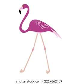 Pink flamingo. Exotic tropical bird. Zoo. Cute cartoon character. Decoration element. Isolated