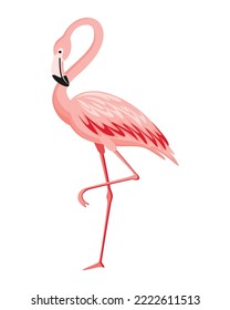 Flamingo rosa. El carácter exótico de las aves tropicales. Animales silvestres aislados. Naturaleza fauna silvestre. Pájaro cutáneo de África