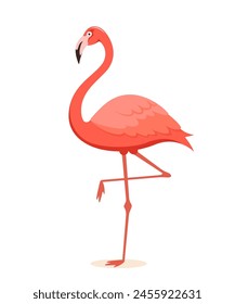 Pink flamingo. Exotic tropical bird character. Isolated wildlife animal