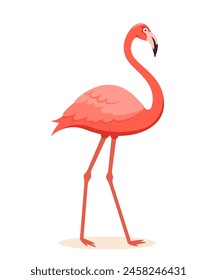 Pink flamingo. Exotic tropical bird character. Isolated wildlife animal