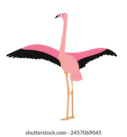 pink flamingo flaps its wings on a white background vector