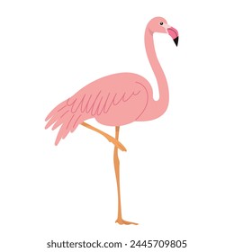 pink flamingo in flat style, isolated on white background vector