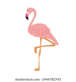 pink flamingo in flat style on white background 