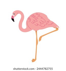 pink flamingo in flat style on white background vector