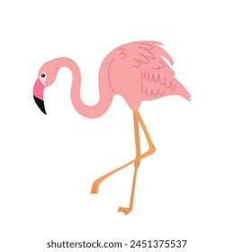 pink flamingo in flat style on white background vector