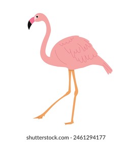 pink flamingo in flat style on white background vector