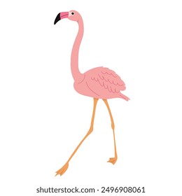 pink flamingo in flat style, on white background vector