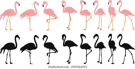 pink flamingo in flat style, with silhouette on white background vector