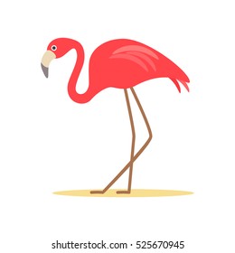 Pink flamingo. flat vector illustration isolate on a white background. easy to use