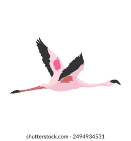 Pink flamingo flying , Flat vector illustration .