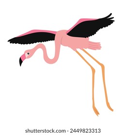 pink flamingo flying on a white background vector