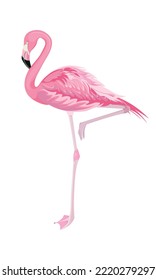Pink flamingo in full growth, highlighted on a white background, side view with raised leg, curved neck, bright feathers. Printing on any surface