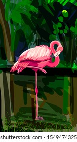 pink flamingo gracefully stands on one leg