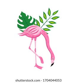Pink flamingo with green tropical leaves isolated on white background - exotic cartoon bird standing on one leg bending over with plant foliage. Flat vector illustration.