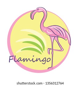 Pink flamingo. Hand drawing vector color illustration. Banner, card, template for printing on t-shirt.