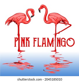Pink Flamingo. Hand drawn vector illustration of two flamingos, one sleeping the other standing on one leg with reflection on the water.
