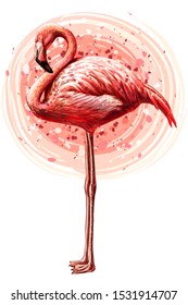 
Pink flamingo. Hand-drawn, artistic, flowered image of a flamingo bird on a white background in a watercolor style.