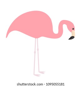 Pink flamingo icon. Exotic tropical bird. Zoo animal collection. Cute cartoon character. Looking down on the ground. Decoration element. Flat design. White background. Isolated. Vector illustration