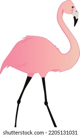 Pink Flamingo Icon. Romantic Cute Bird. Exotic Animal