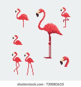 pink flamingo icons set, pixel art style vector illustration.