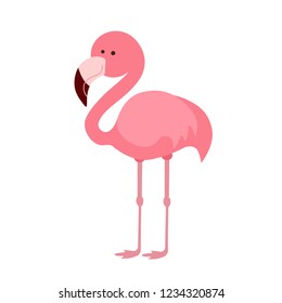 pink flamingo illustration