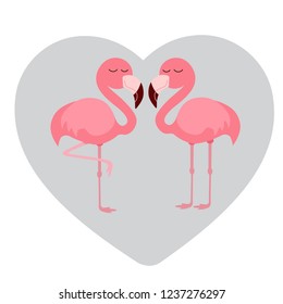 pink flamingo illustration