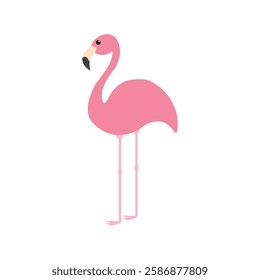 Pink flamingo illustration. Exotic tropical birds. Zoo animals. Cute cartoon characters. Decor elements. Flat design.